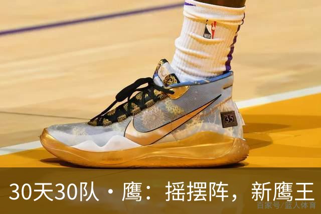 30天30队·鹰：摇摆阵，新鹰王